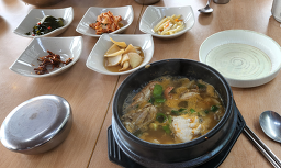 선인장 사진 6