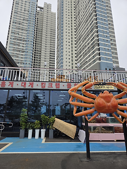 대해가 9