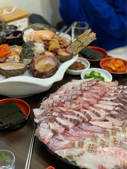 보물섬 사진 7