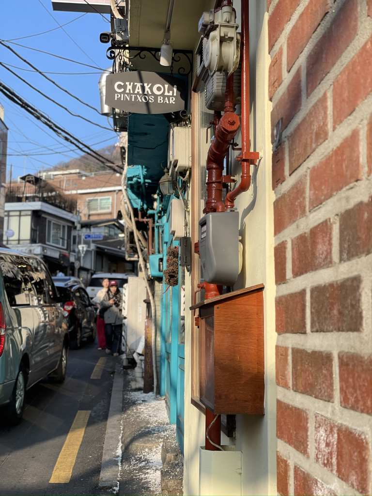 차콜리(chakoli) 사진 3
