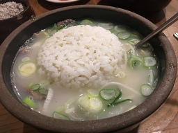 느티나무 5