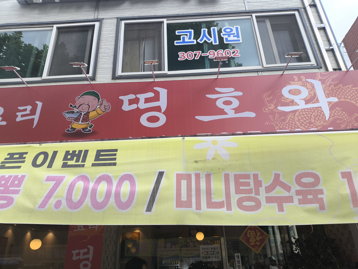 띵호와 5