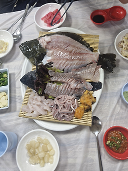 선창활어회 3