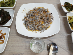 독천무안뻘낙지 3