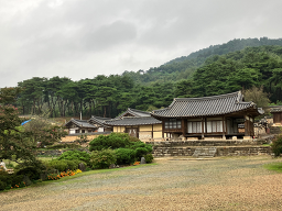 홍커피 1