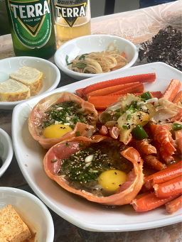 동해안붉은대게 10