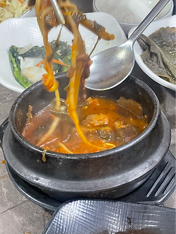 Yangchonhanutaun 4