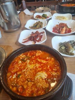 콩서리 11