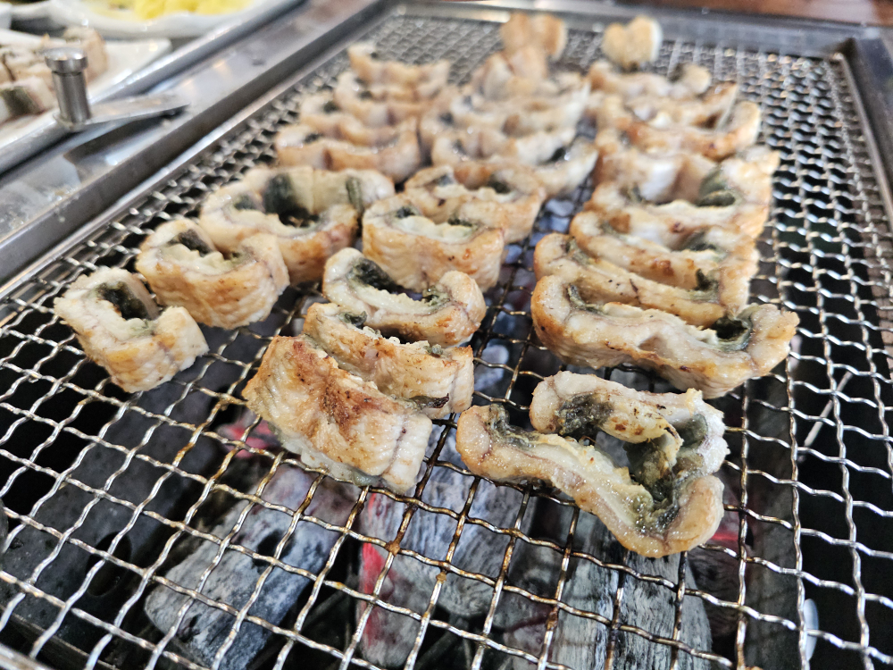 Uidangimkkeokjeongjangeo (의당임꺽정장어) 3