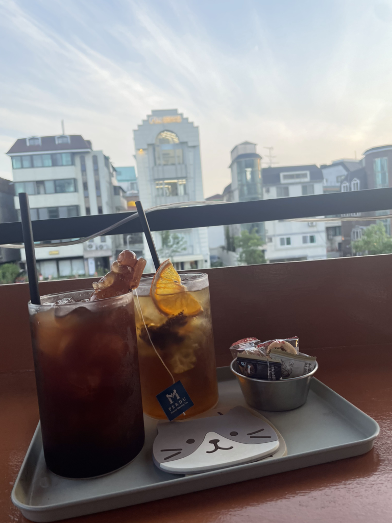 헤이쥬드 사진 6
