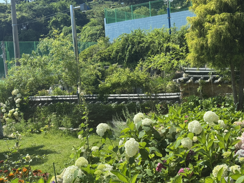 한방삼계탕 1