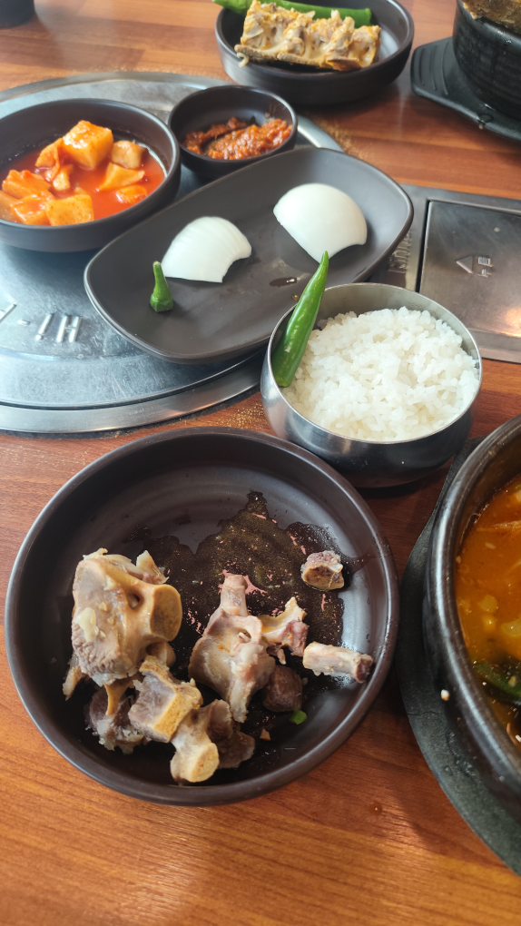 등뼈 3