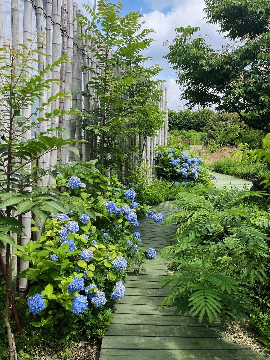 머들 사진 3