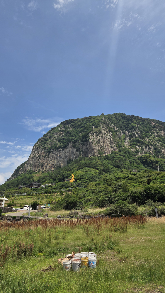 산방산해물라면오빠네 사진 2