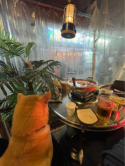 Haengdangjip 5