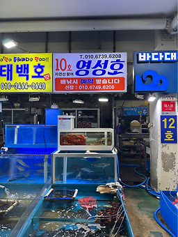장사항활어직판장 2