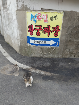 증도황궁짜장외 1 2