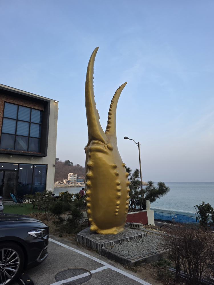기분좋은날대게회 2