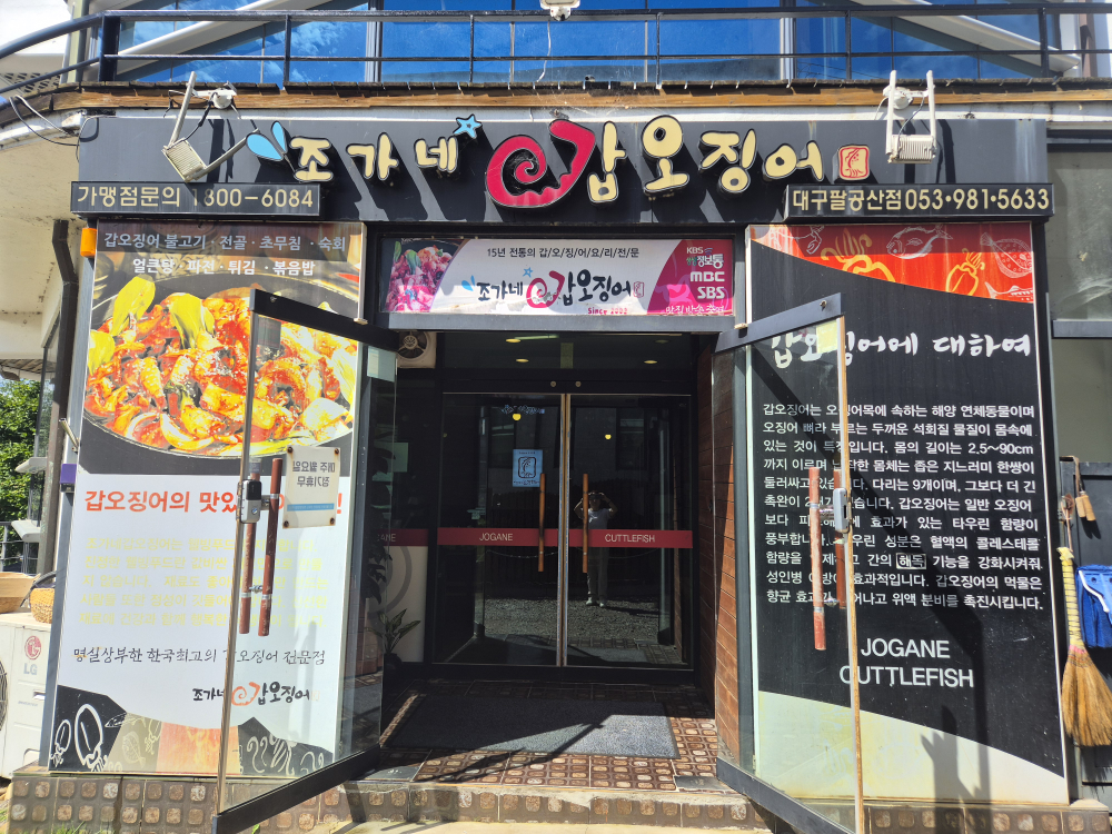 조가네갑오징어 1