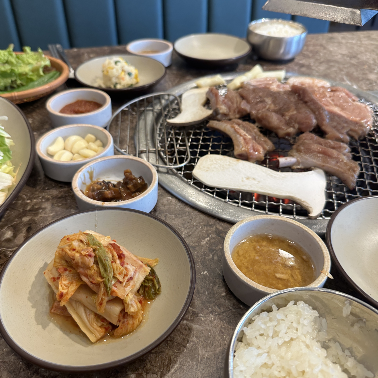 신촌새나리 5
