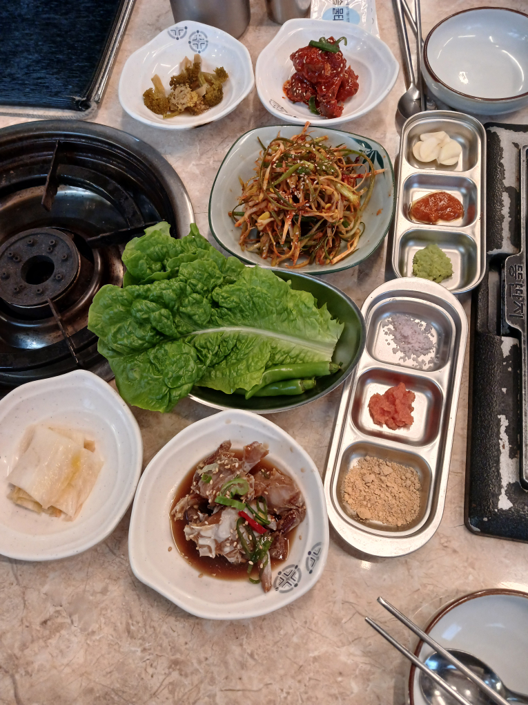 뚱딴지 사진 3