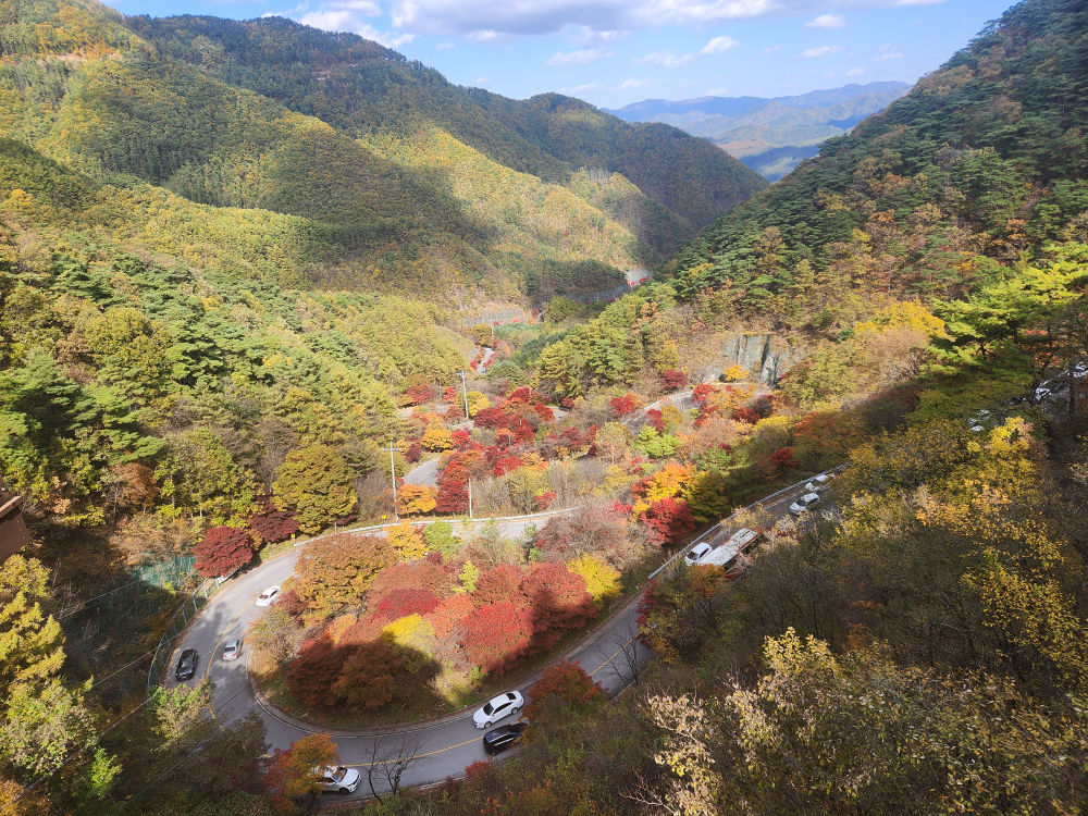 Cheonggangssogari 5