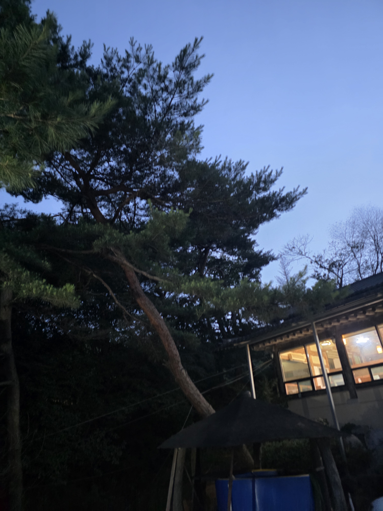Samnyeonsanseongsongeojang (삼년산성송어장) 3