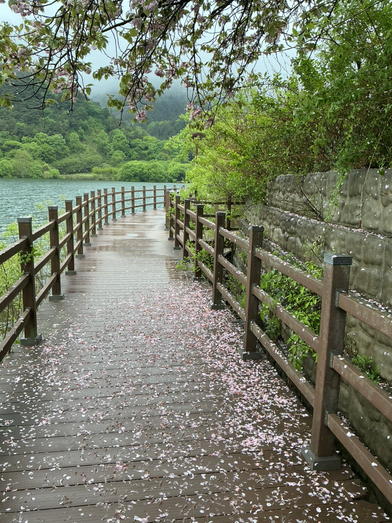 Haneoul (한어울) 1