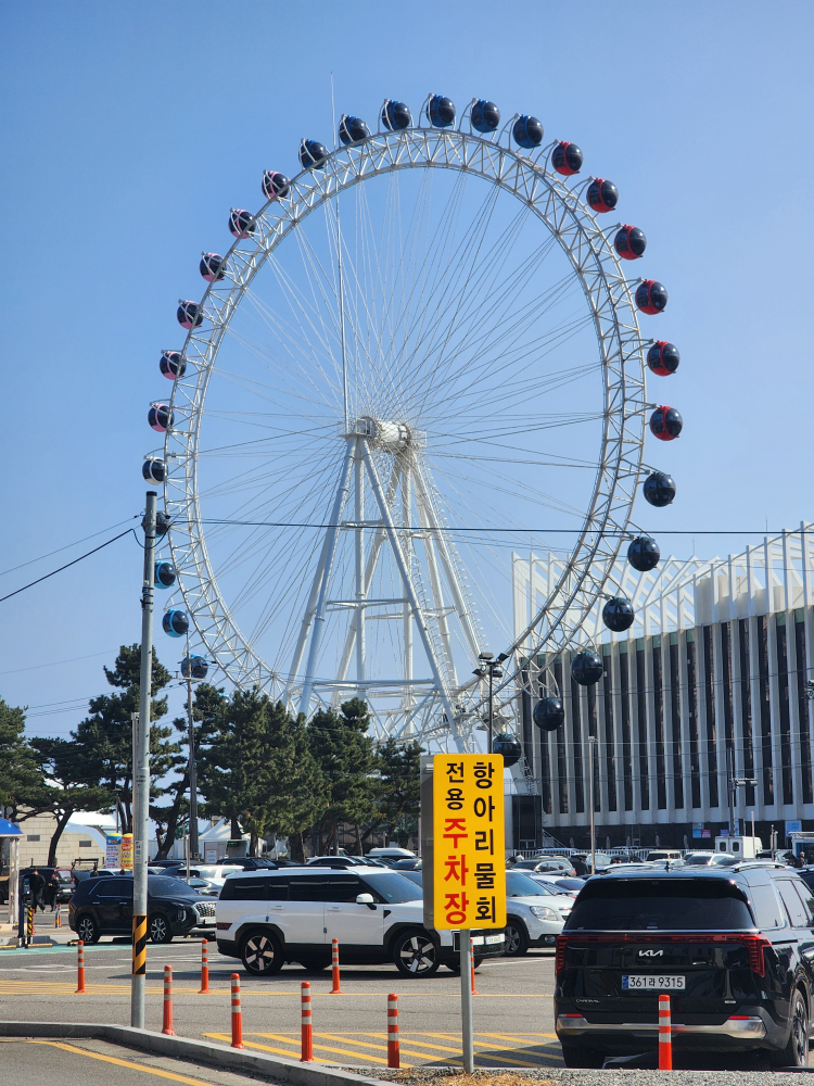 속초항아리물회 10