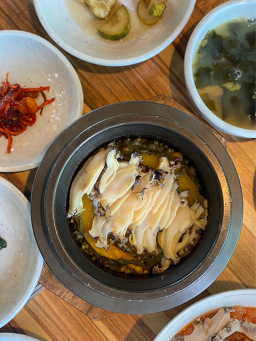 평대전복 사진 7
