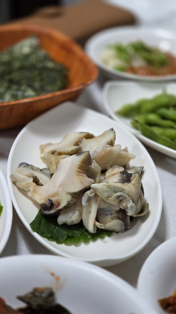 황금마차 5