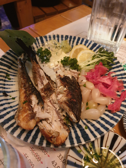 야젠 사진 5