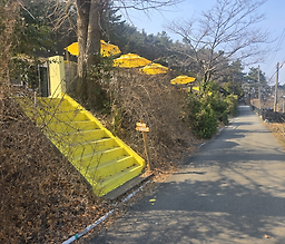 Jigeumyeogi, eunhaengnamujip (지금여기, 은행나무집) 2