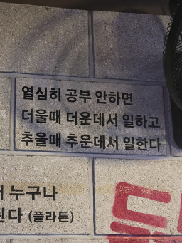 마돈나 사진 7