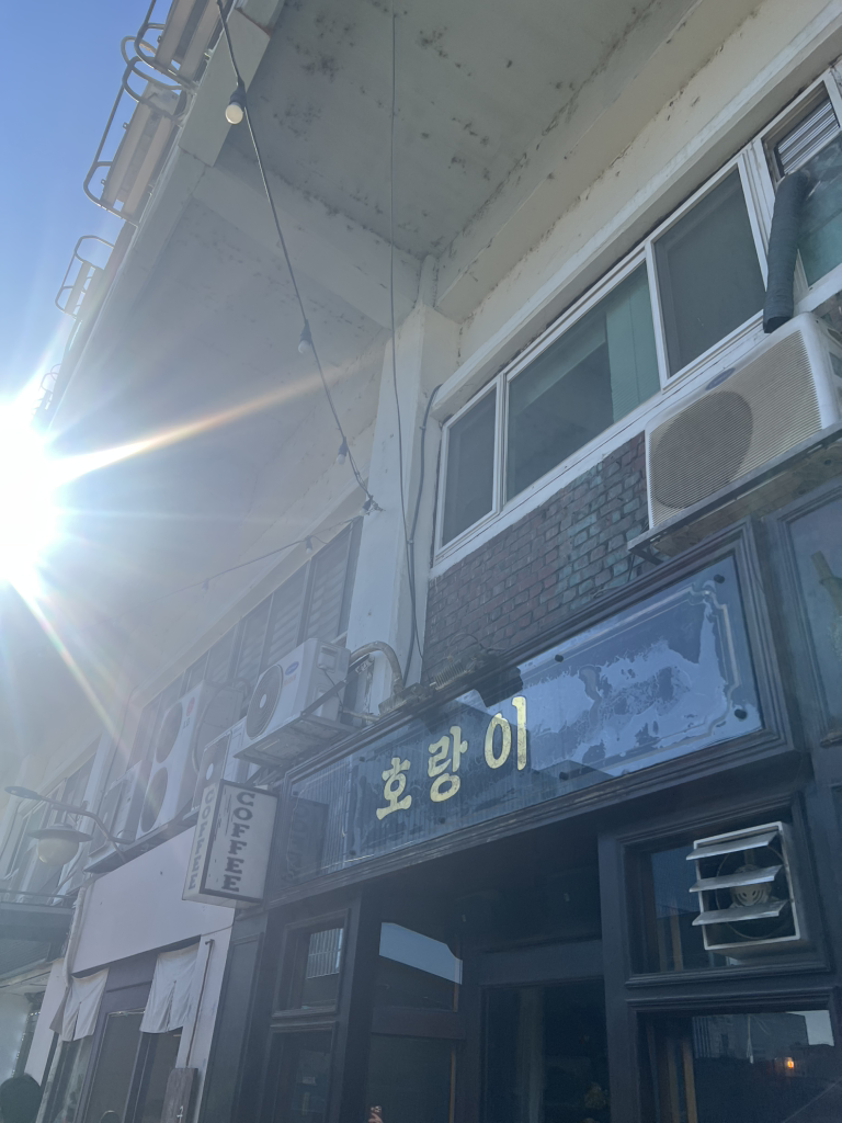 호랑이 사진 5