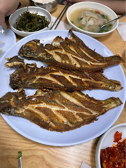 순자집곰치국 1