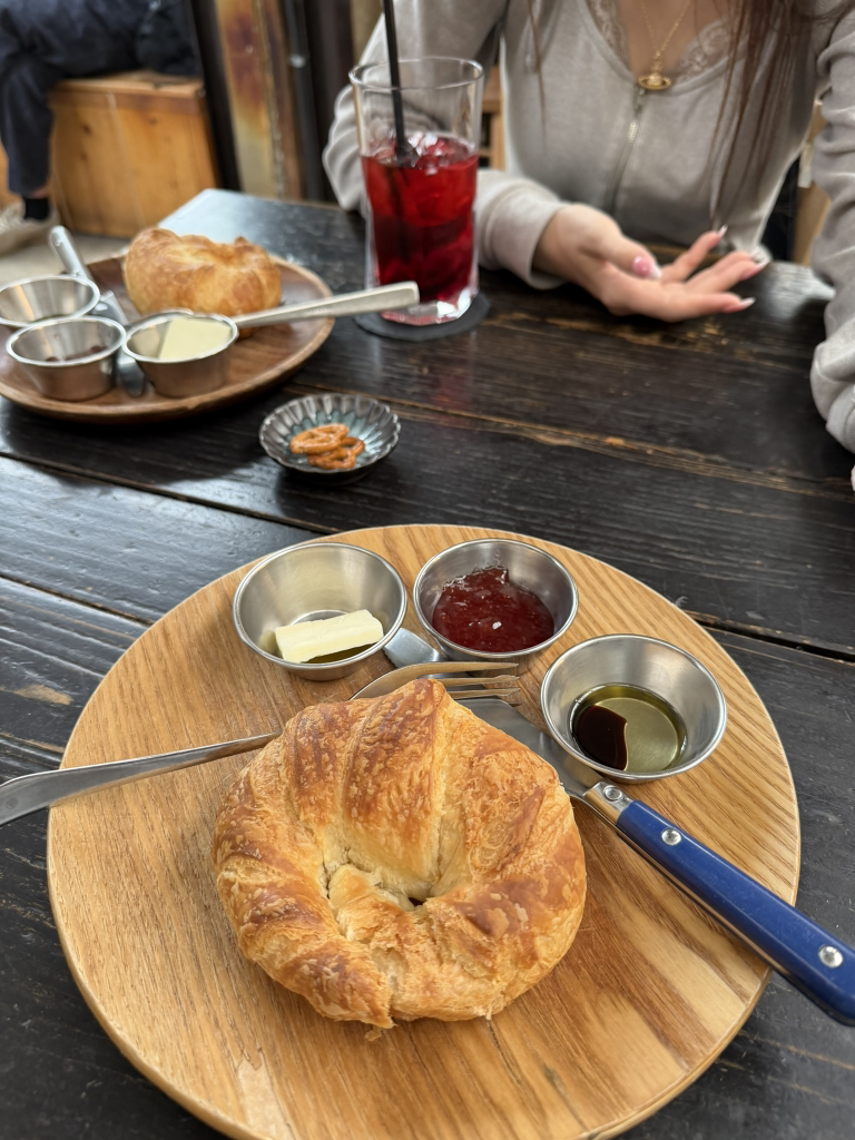 식물 사진 3