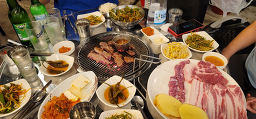 아라돼지 대표 사진