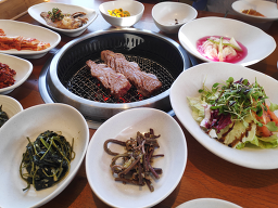 Dongbaekjajangnamu (동백자작나무) 2