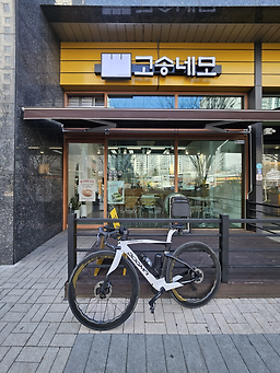 고송네모 사진 2