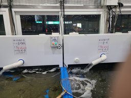 Hangukjonghapsusan 5