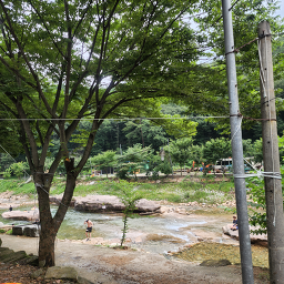 Janggunbongsikdang (장군봉식당) 1