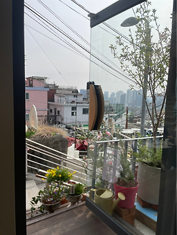 인기야아 사진 4