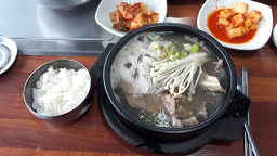 태종대암소한마당 1
