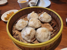 부르스리 사진