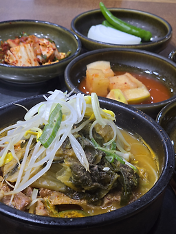 참뼈 2