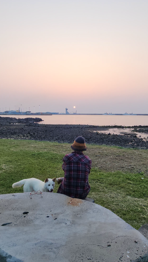 열려라참깨 사진 6