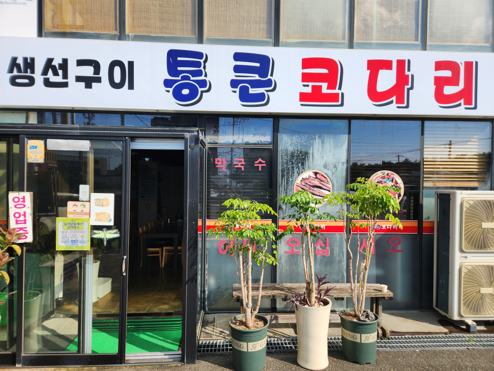 통큰코다리 사진 3