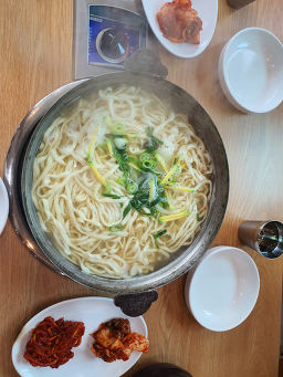 느티나무 1