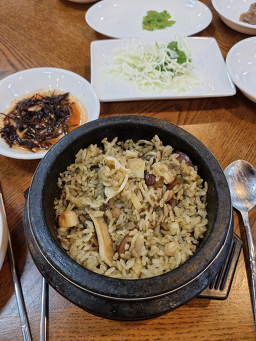 산호전복 사진 8